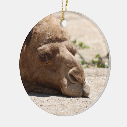 Slaapkamel Keramisch Ornament (Links)