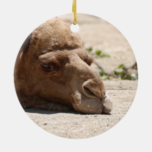 Slaapkamel Keramisch Ornament (Achterkant)