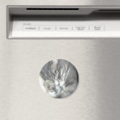 Slaapkamer Magneet (Insitu (Vaatwasser))