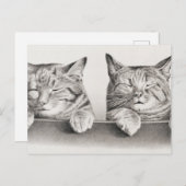  slaapkamergraaf, 1874 briefkaart (Voorkant / Achterkant)