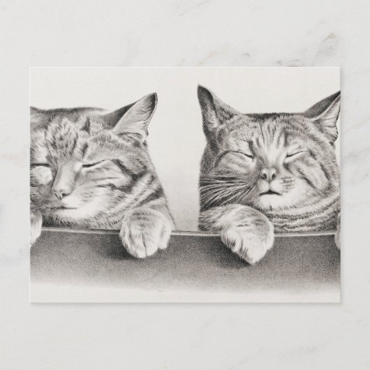  slaapkamergraaf, 1874 briefkaart (Voorkant)