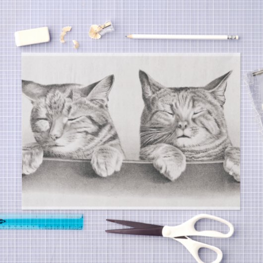  slaapkamergraaf, 1874-decoupage tissuepapier (Craft)