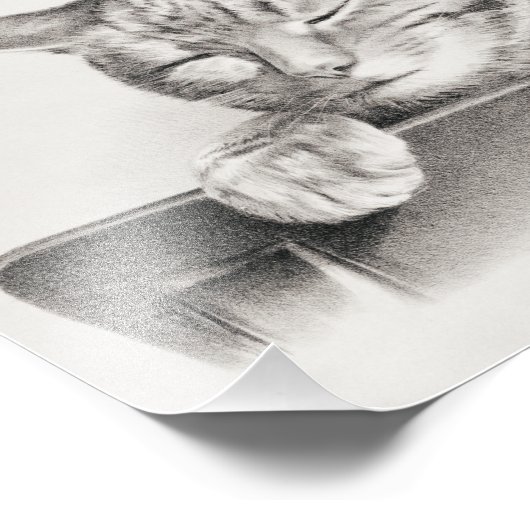  slaapkamergraaf, 1874 foto afdruk (Hoek)