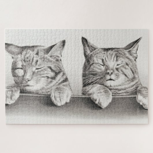 slaapkamergraaf, 1874 legpuzzel (Horizontaal)