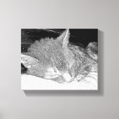 Slaapkat Canvas Afdruk (Voorkant)