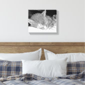 Slaapkat Canvas Afdruk (Insitu (Slaapkamer))