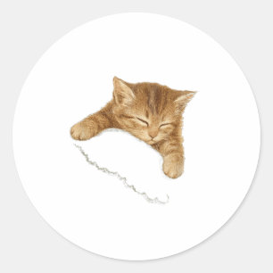 Slaapkat Grafisch, Vintage Kat Liefhebber T-shirt, Ronde Sticker
