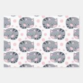 Slaapkat Inpakpapier Vel Set (Voorkant)