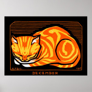 Slaapkat, Julie de Graag Poster
