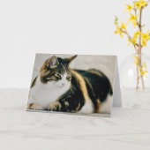 Slaapkat Kaart Calico Cat (Gele Bloem)