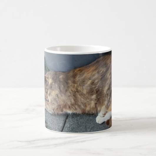 Slaapkat Koffiemok (Center)