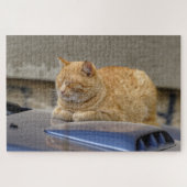 Slaapkat Legpuzzel (Horizontaal)