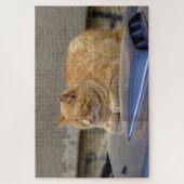 Slaapkat Legpuzzel (Verticaal)