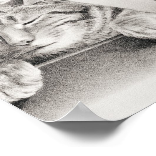 slaapkat Lithograaf, 1874 Schets Poster (Hoek)