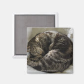 Slaapkat Magneet (Voorkant / Achterkant)