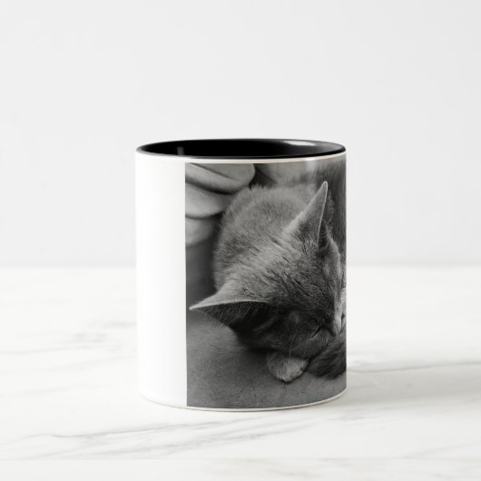 Slaapkat mok (Center)