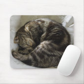 Slaapkat Muismat (Met muis)