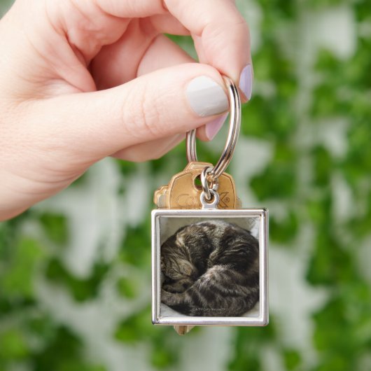 Slaapkat Sleutelhanger (Hand)