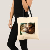 Slaapkatten canvas tas (Voorkant (product))