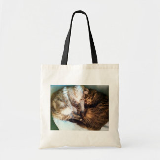 Slaapkatten canvas tas