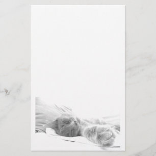 slaapkattenbriefpapier briefpapier