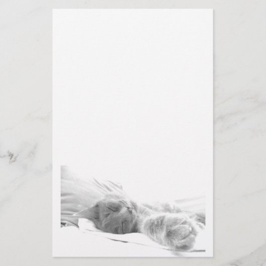 slaapkattenbriefpapier briefpapier (Voorkant)