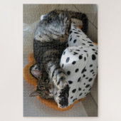 slaapkattenpuzzel legpuzzel (Verticaal)