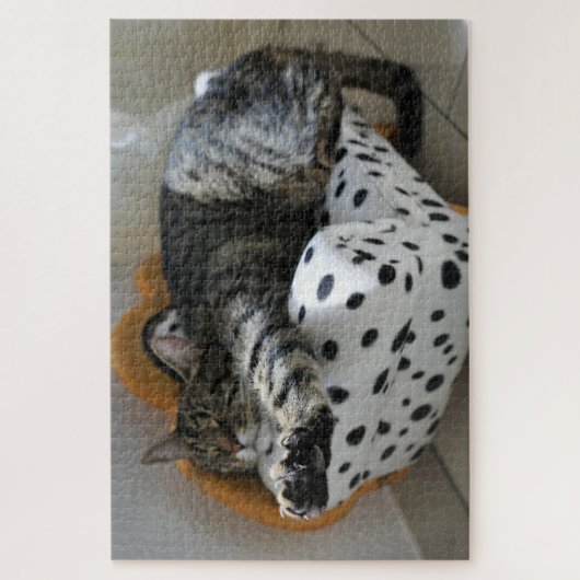 slaapkattenpuzzel legpuzzel (Verticaal)