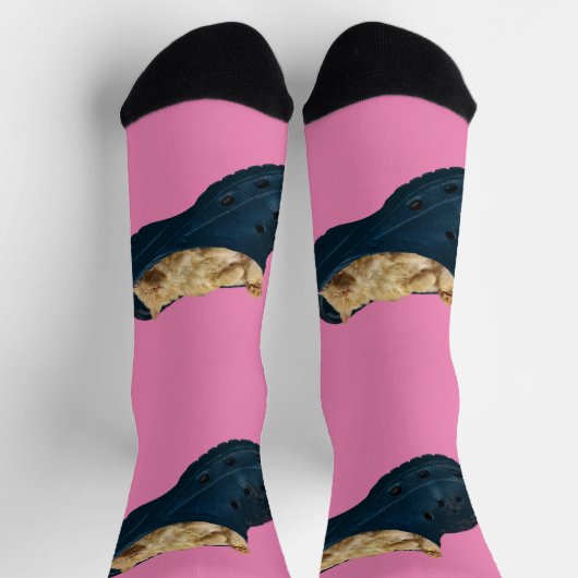 Slaapkeuken in een boegschoen, Sokken van de beman (Top)