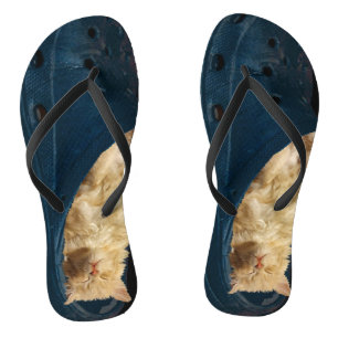Slaapkeuten in een krokodillen, Teenslippers
