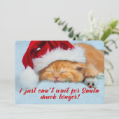 Slaapkeuten met Santa Hat Two Sided Kaart (Staand voorkant)