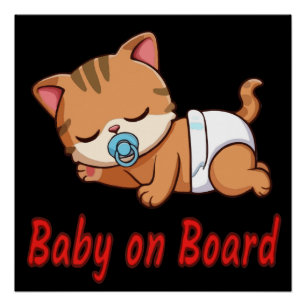 Slaapkitten Kat   Baby aan Boord Autodecal Perfect Poster
