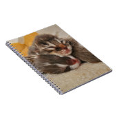 Slaapkitten Notitieboek (Rechterzijde)