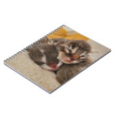 Slaapkitten Notitieboek (Linkerzijde)