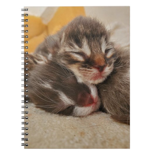 Slaapkitten Notitieboek (Voorkant)