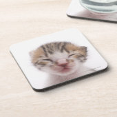 Slaapkitten Onderzetter (Linkerzijde)