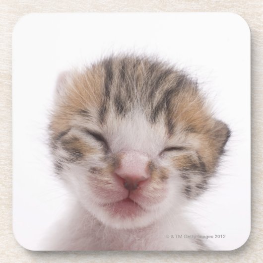 Slaapkitten Onderzetter (Voorkant)