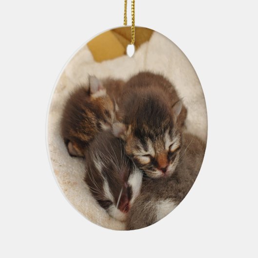 Slaapkittens Keramisch Ornament (Rechts)