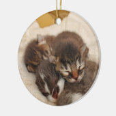 Slaapkittens Keramisch Ornament (Links)