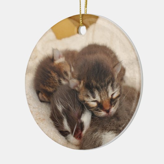 Slaapkittens Keramisch Ornament (Links)