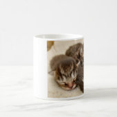 Slaapkittens Koffiemok (Center)
