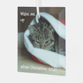 Slaapklat in Santa Hat Glas Ornament (Voorkant links)