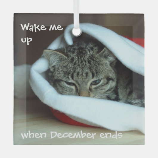 Slaapklat in Santa Hat Glas Ornament (Voorkant)