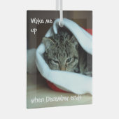 Slaapklat in Santa Hat Glas Ornament (Voorkant Rechts)