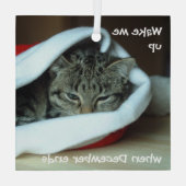 Slaapklat in Santa Hat Glas Ornament (Achterkant)