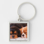 Slaapknuffels Cavalier King Charles-sleutelhanger Sleutelhanger (Voorkant)