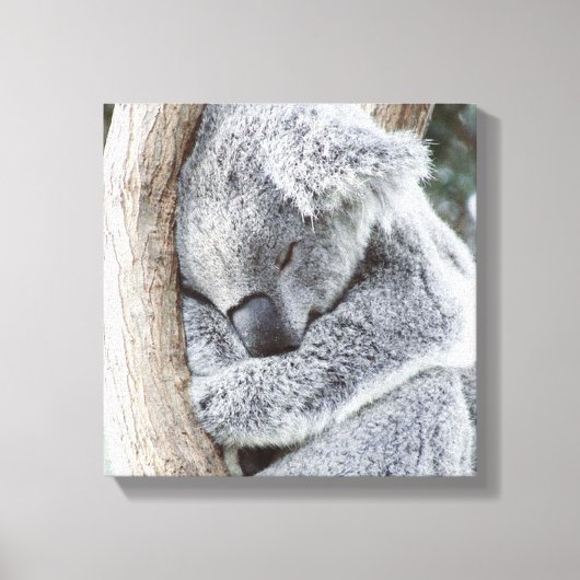 slaapkoala baby canvas afdruk (Voorkant)