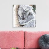 slaapkoala baby canvas afdruk (Insitu (Woonkamer))