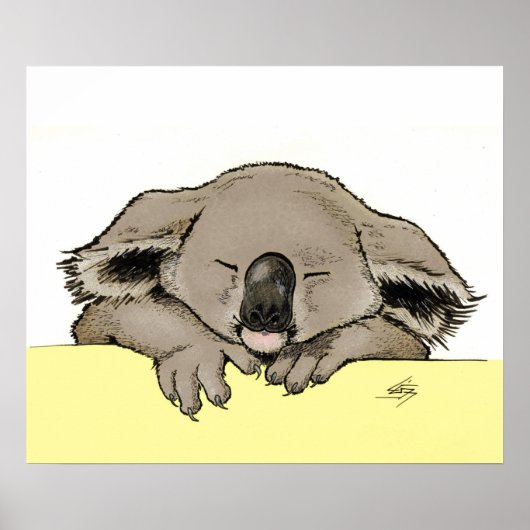 Slaapkoala Poster (Voorkant)