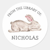 Slaapkonijn konijn baby Bookplate Ronde Sticker (Voorkant)